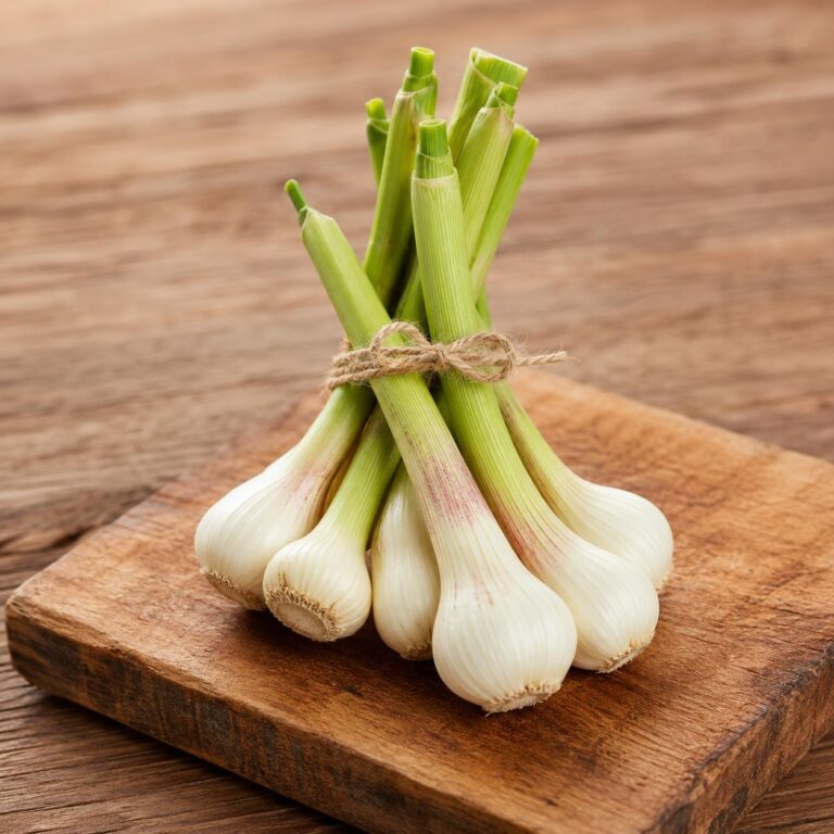 ein Bund frischer Jungknoblauch Familie Rotheneder