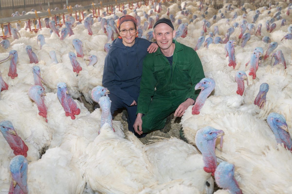 Foto von Herrn und Frau Rotheneder im Putenstall zwischen vielen Puten